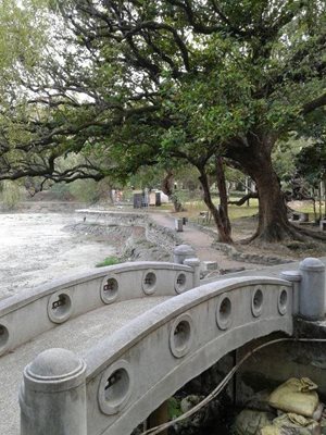 تاینان-پارک-تاینان-Tainan-Park-341991