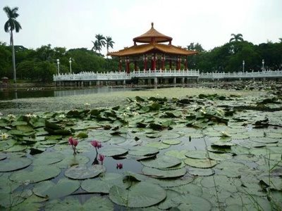 تاینان-پارک-تاینان-Tainan-Park-341987