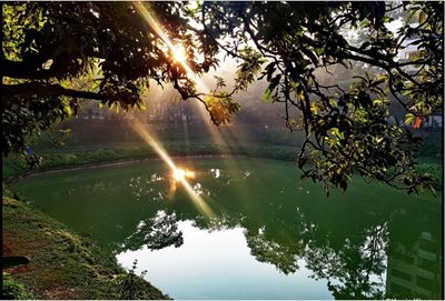 پارک دریاچه گلشن Gulshan Lake Park