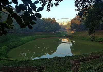 داکا-پارک-دریاچه-گلشن-Gulshan-Lake-Park-342960