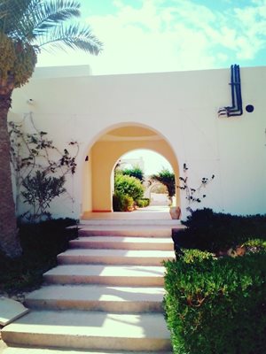 جربه-هتل-کلوب-آفتاب-Djerba-Sun-Club-343050