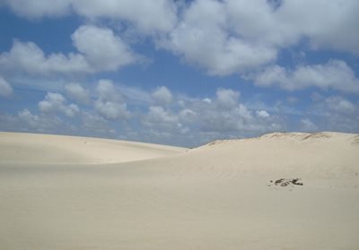 ناتال-پارک-Dunas-de-Genipabu-343129