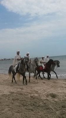 جربه-سوارکاری-Ranch-Yassmina-Djerba-La-Douce-343132