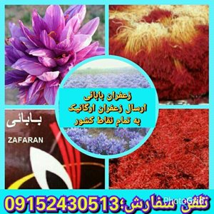 گناباد-کارگاه-بسته-بندی-زعفران-طلای-کویر-بابائی-346136