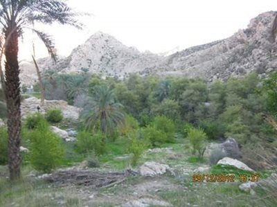 جم-روستای-آبگرمک-بوشهر-346325