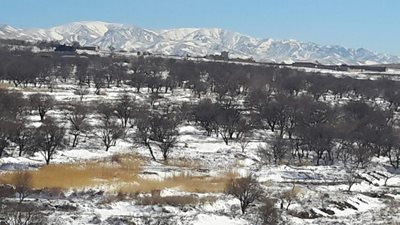 روستای عبدالله آبادی