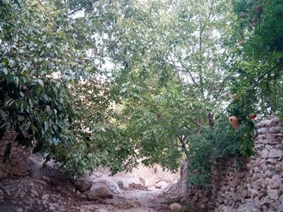 داراب-روستای-نمونه-گردشگری-نوایگان-348669