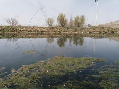 شلمزار-دریاچه-شلمزار-348972