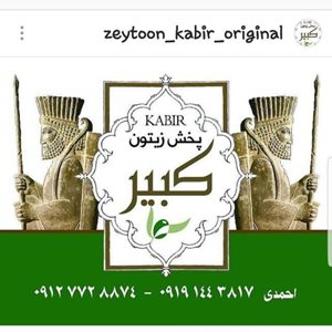 تهران-پخش-زیتون-و-روغن-زیتون-کبیر-349515