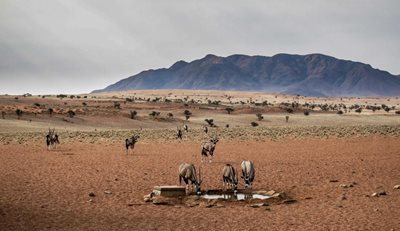 صحرای نامیبیا NamibRand Nature Reserve