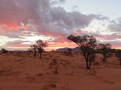 ویندهوک-صحرای-نامیبیا-NamibRand-Nature-Reserve-352005