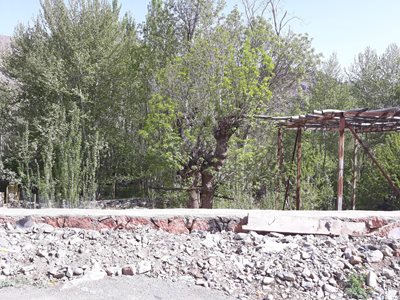 نطنز-روستای-طامه-352221