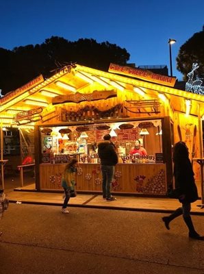 شهر-موناکو-بندرگاه-مونت-کارلو-Monte-Carlo-Harbor-352956