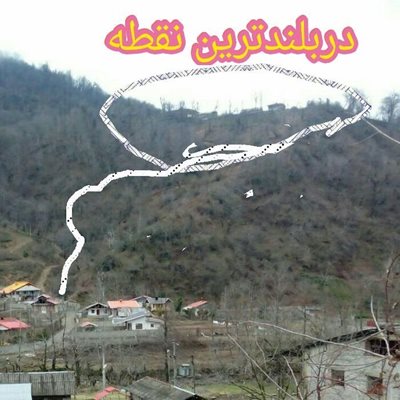 فومن-کلبه-جنگلی-فوشه-353579