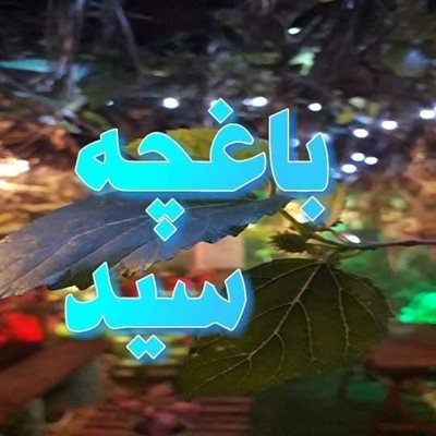 بوشهر-باغچه-سید-353604