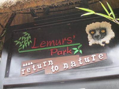آنتاناناریوو-پارک-لمور-آنتاناناریوو-Lemurs-Park-353958