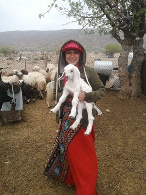 پاسارگاد-اقامتگاه-عشایری-عمو-قدرت-Amoo-ghodrat-nomadic-resort-354175