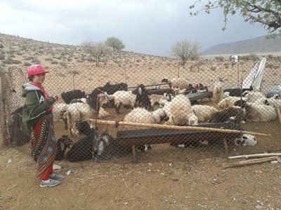 پاسارگاد-اقامتگاه-عشایری-عمو-قدرت-Amoo-ghodrat-nomadic-resort-354174