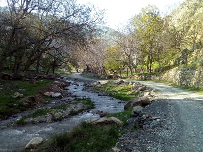 روستای ولیان