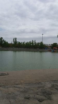 بن-گرداب-بن-356194