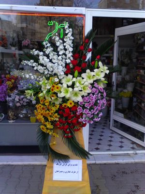 اردبیل-گل-فروشی-آلستر-356288