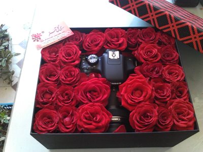 گل فروشی آلستر