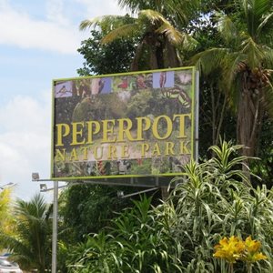 پاراماریبو-پارک-طبیعت-پپرپات-Peperpot-Nature-Park-357894