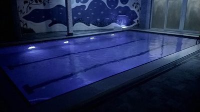 سلمان-شهر-اجاره-ویلای-استخردار-حرفه-ای-358155