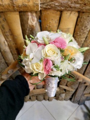 شاهین-شهر-فروشگاه-گل-ارکید-358521