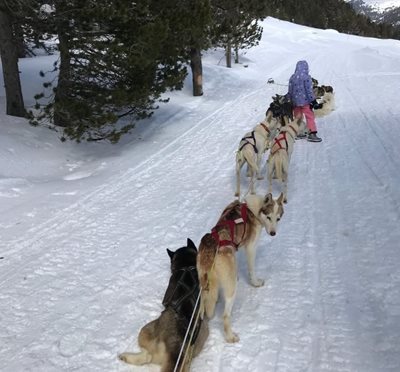 آندورا-لا-ولا-تپه-اسکی-Grandvalira-359021