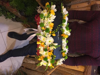 شاهین-شهر-فروشگاه-گل-ارکید-359117