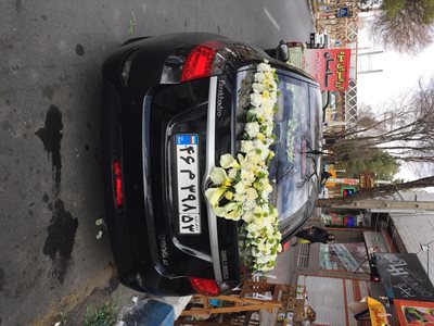 شاهین-شهر-فروشگاه-گل-ارکید-359119