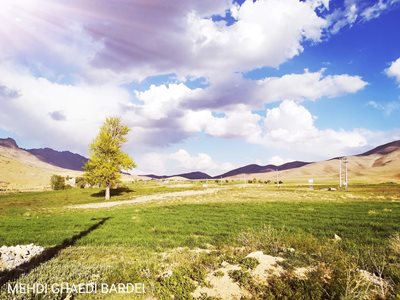 بن-روستای-بارده-360220