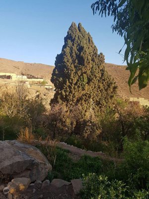 یزد-روستای-دربید-360480