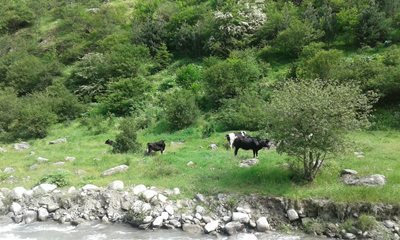 کلاردشت-روستای-رودبارک-360897