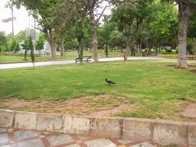 شیراز-پارک-آزادی-شیراز-361805