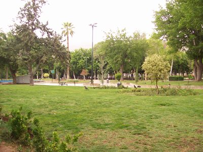 شیراز-پارک-آزادی-شیراز-361804