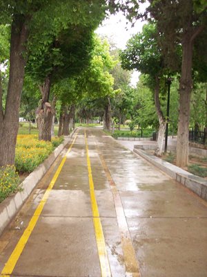 شیراز-پارک-آزادی-شیراز-361809