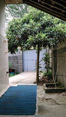 لاهیجان-ویلای-مستقل-در-لاهیجان-362033