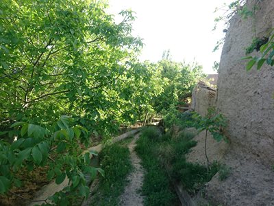 روستای ارخود