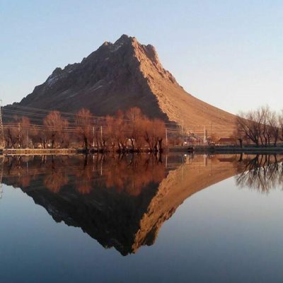 بن-گرداب-بن-363512