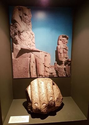 موزه اولستر Ulster Museum