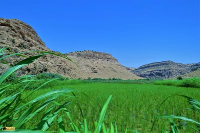 گیلانغرب-تنگ-گولم-364171