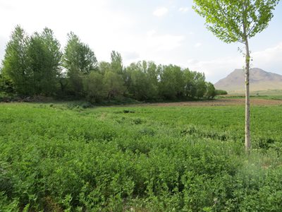 فریدن-روستای-قلعه-ملک-364761