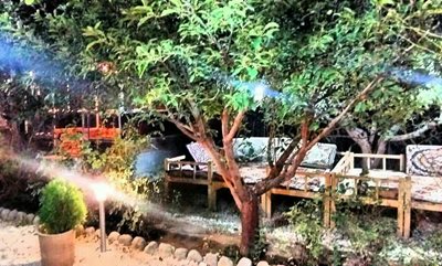 بروجرد-باغ-رستوران-رز-365911