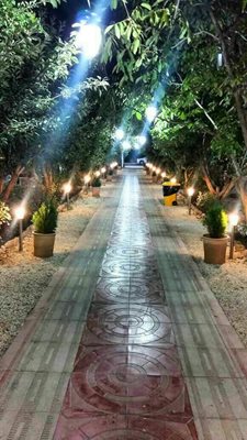 باغ رستوران رز