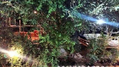 بروجرد-باغ-رستوران-رز-365942