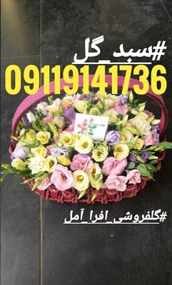 آمل-گل-فروشی-افرا-آمل-365959