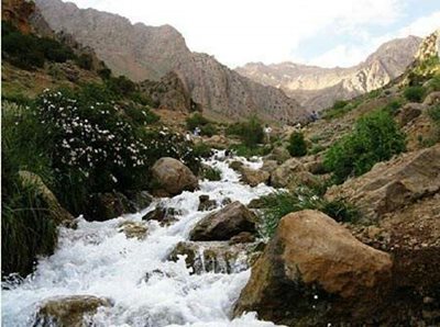 یاسوج-تنگ-گنجه-ای-366379