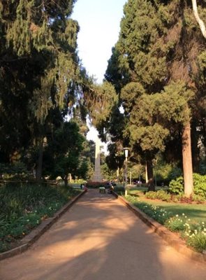 هراره-باغ-هراره-Harare-Gardens-366639